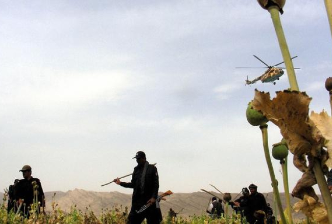 Pakistānā karavīri iznīcina magoņu lauku. Foto: AFP/LETA