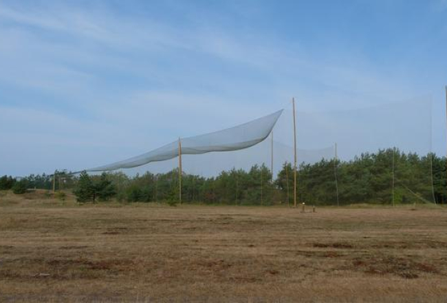 Sikspārņu murds Papē. Foto:  Gunārs Pētersons
