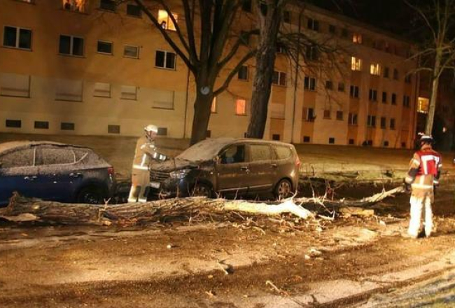 Vētras ''Ksavjērs'' postījumi Berlīnē. Foto: polizeireporter.