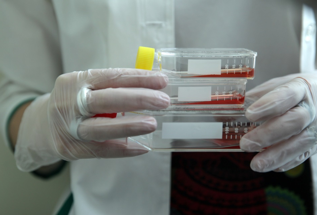 Paula Stradiņa Klīniskās universitātes slimnīcas Šūnu Transplantācijas centra Šūnu izpētes un transplantācijas laboratorija. Foto: Ieva Čīka, LETA
