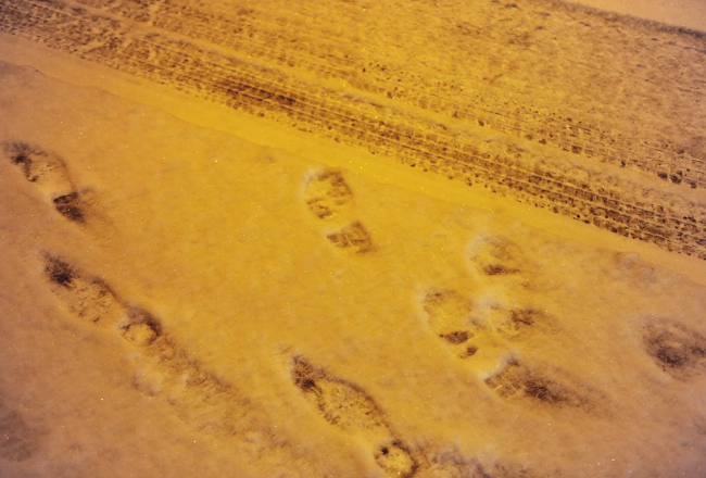 Foto: Ieva Lūka, LETA