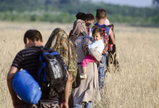 Bēgļi iet pāri labības laukam Serbijā netālu no Ungārijas robežas. Foto: AFP/LETA