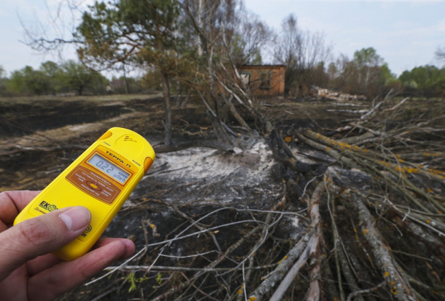 Geigera skaitītājs mēra radiācijas līmenī šopavasar notikušā mežu ugunsgrēka vietā netālu no Černobiļas AES. Foto: EPA/LETA