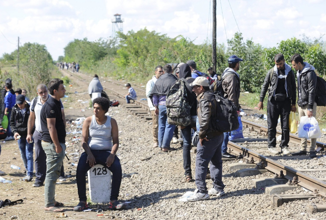 Nelegālie imigranti gaida uz Serbijas - Ungārijas robežas. Foto: EPA/LETA