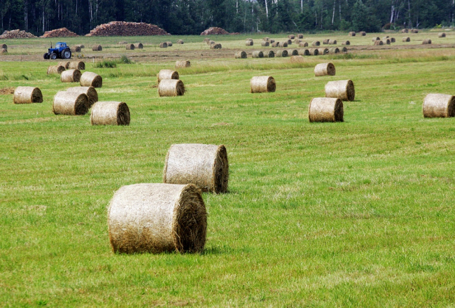 Foto: Rūta Kalmuka, F64