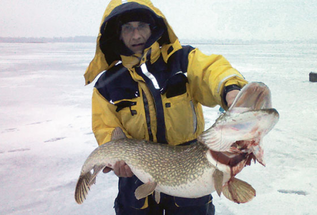 Didzis Vinogradovs cīnījās 20 minūtes, kamēr no āliņģa Alūksnes ezerā izvilka 11,3 kg smagu un 114 cm garu līdaku.