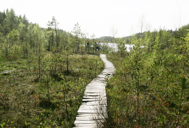 Ilustratīvs foto: Mārtiņš Zilgalvis, F64