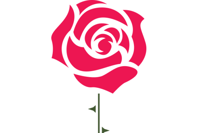 2015_09_roz.png