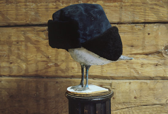 Fotogrāfa Andreja Strokina izstāde