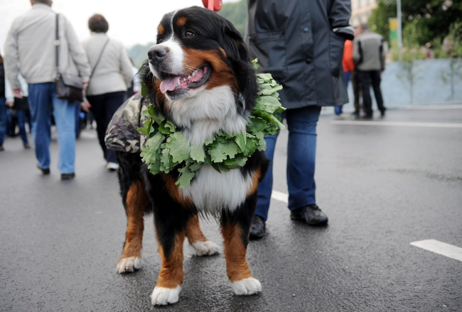Foto: Edijs Pālens, LETA