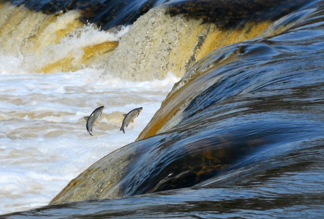 Foto: Aivars Ķesteris, F64