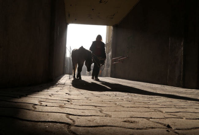 Foto: Evija Trifanova, LETA