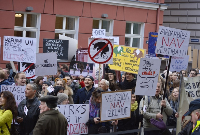 Piketētāji pie Saeimas. Foto: Patrīcija Eglīte, LETA