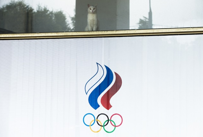 Krievijas olimpiskās komitejas logā sēž kaķis. Foto: AP/LETA