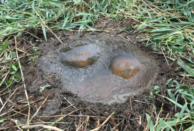 Arheologu atrastais Riņņukalna upurakmens. Foto: B.Baika