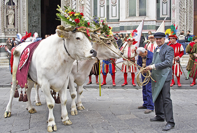 Ziediem rotāti vērši pagājušā gada Lieldienu gājienā Florencē.