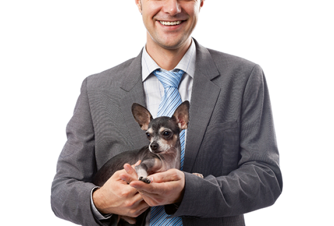 Foto — Shutterstock