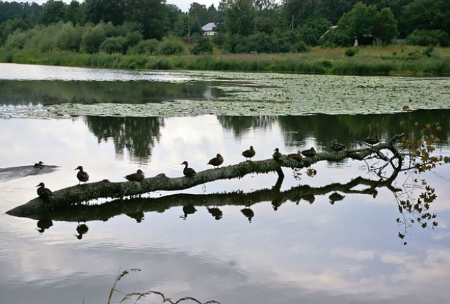 Šlokenbekas dzirnavezers. Foto: dziedava.lv