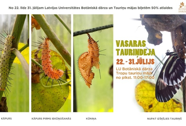 2017_08_taurinjdejas_afisha.jpg