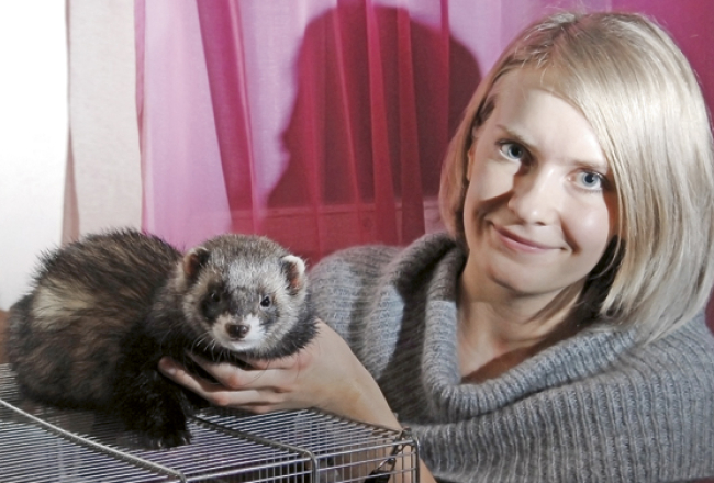 Gadu vecais sesks Bazils ir Latvian Winter Ferret Show 2010 uzvarētājs junioru kategorijā. Marta Esmane ir viņa saimniece. Foto — Gints Ivuškāns, F64