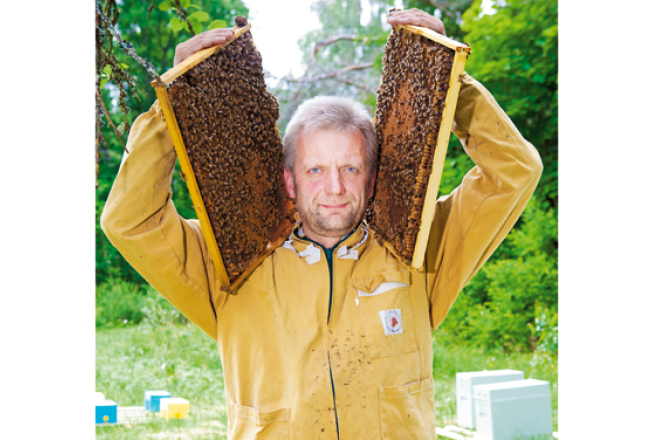 Vairāki Latvijas biškopji savu produkciju pārdod igauņu un somu uzpircējiem, bet Ainars Millers pats lauž ceļu uz Vāciju.