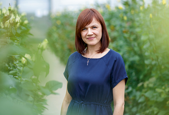 «Mūsu rozes ir tīras, mēs vairs nelietojam ķīmiskos augu aizsardzības līdzekļus,» saka Eva Bumbiere.