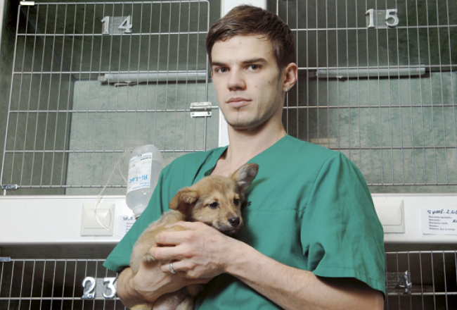 Lauris Muldiņš ir topošais veterinārārsts, kurš ķer bīstamus un klaiņojošus suņus. Pēc Jaungada darba ir vairāk, jo suņus izbiedējis salūts. Foto — Gints Ivuškāns, F64