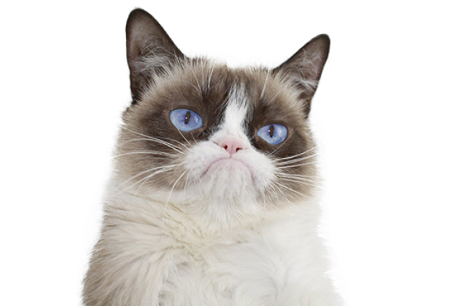 2017_09_grumpy.png