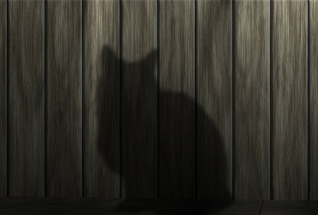 Ilustratīvs attēls no pixabay.com