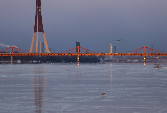 "Zelta" Dienvidu tilts. Foto: Evija Trifanova, LETA