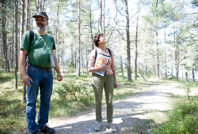 Piekrastes biotopu eksperti Didzis Tjarve un Brigita Laime priecājas par mežu, kurā aug dažādu vecumu priedes. Tāda vide nodrošina lielu bioloģisko daudzveidību.
Foto — Ieva Salmane