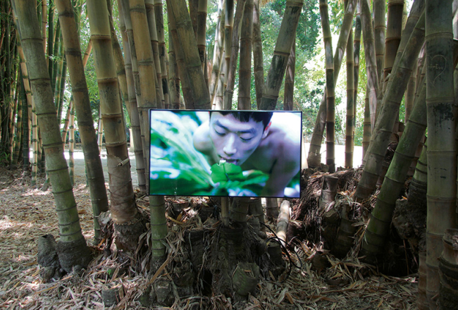 Ķīnieša Džena Bo video Pteridofilija aktualizē nepieciešamību atjaunot cilvēka un dabas saites, nodoties jutekliskām baudām ar Taivānas mežu papardēm.
Publicitātes foto