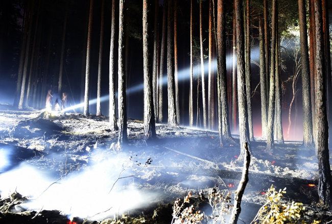 Izdegušais mežs Ķemeru nacionālajā parkā. Foto: Edijs Pālens, LETA
