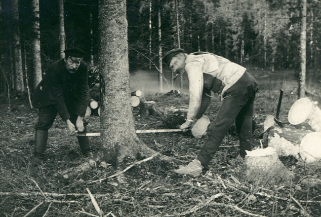 No bēgļu gaitām atgriezušies bēgļi malkas sagatavošanas darbos.
Foto no Latvijas Kara muzeja krājuma