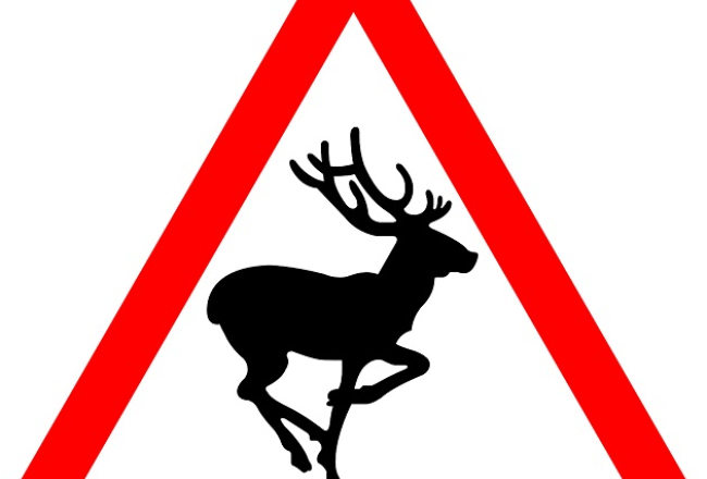 Ilustratīvs attēls no pixabay.com