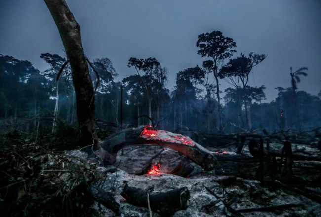Gruzdošas ogles pēc mežu ugunsgrēka Amazones džungļos. Foto: Scanpix/LETA