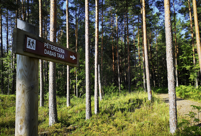Pēterezera dabas taka.
Foto — Agnese Leiburga