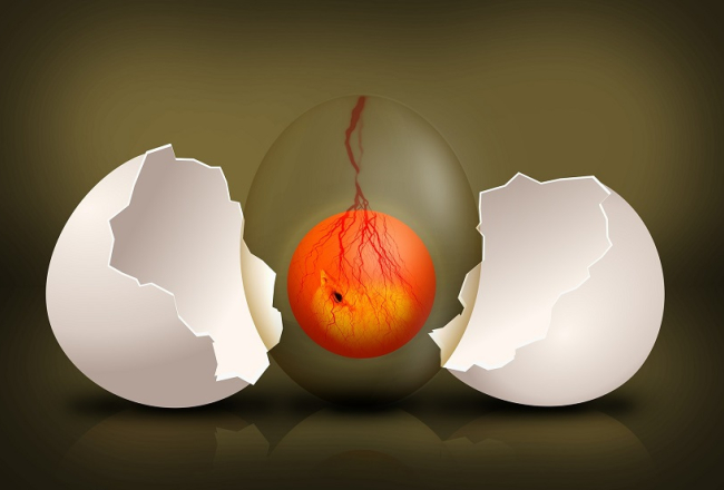 Ilustratīvs attēls no pixabay.com