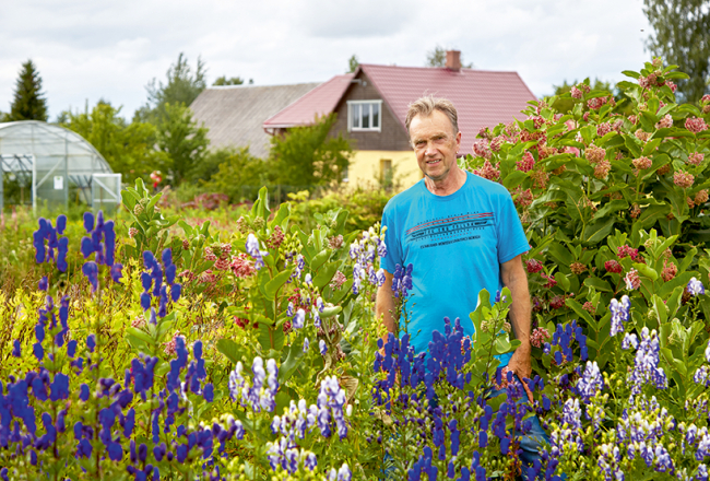 Jāņa Ulmja dārzā aug vairāk nekā 300 dažādu veselības augu. Pie katra ir plāksnīte ar nosaukumu un cipariņi, kas apzīmē attiecīgā auga izmantošanu konkrētā fitoprodukta formulā. Jo vairāk ciparu, jo plašāks pielietojuma spektrs.
Foto — Madara Gritāne