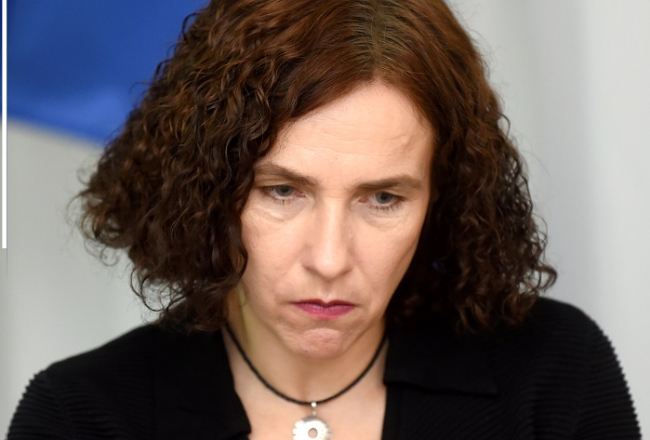 Izglītības un zinātnes ministre Ilga Šuplinska. Foto: Zane Bitere, LETA