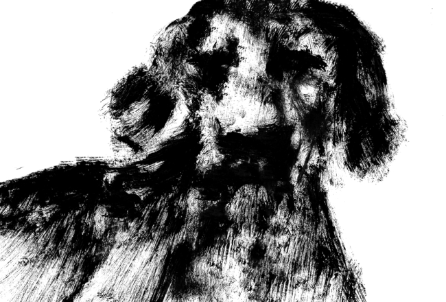 Ilustrācija — Patrīcija Māra Vilsone