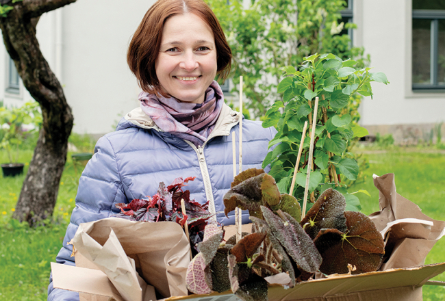 Arhitektei Elīnai Rožulapai ir trīs dārzi — viens laukos, otrs pie privātmājas Teikā, bet par trešo dārzu viņa dēvē savus telpaugus.
Foto — Kristīne Madjare