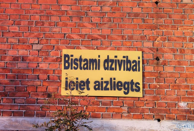 Ilustratīvs attēls no interneta
