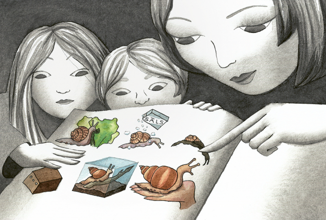 Ilustrācija – Agnese Apine