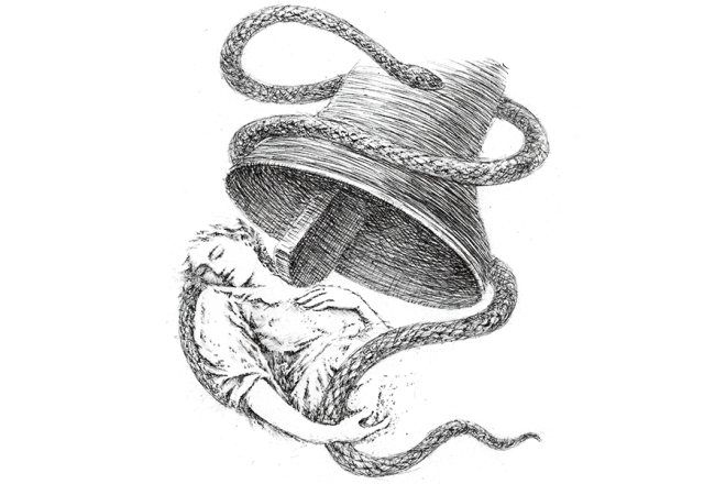Ilustrācija — Rasa Pavilona