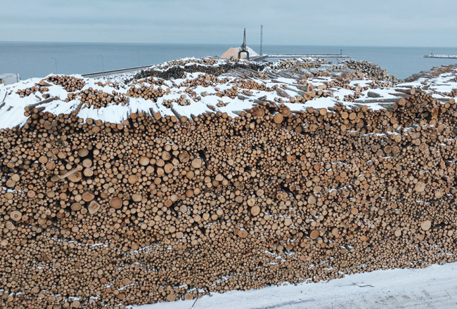Kadrs no filmas Visi putni skaisti dzied. Publicitātes foto