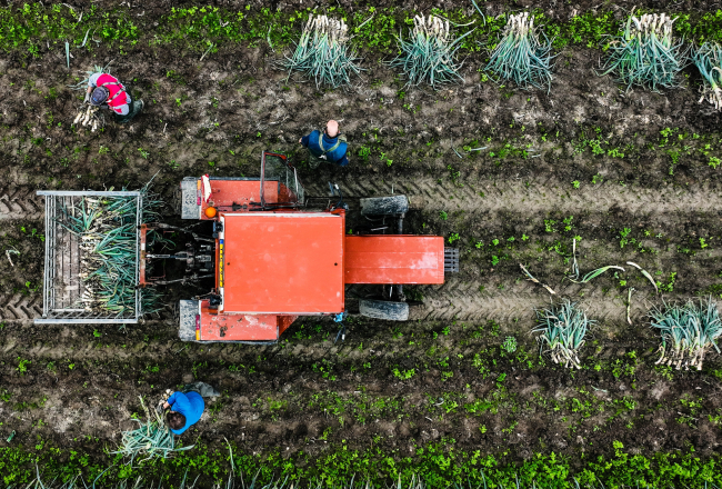 Ekrānkopija no ARTE video.