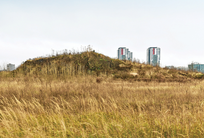 Skanstes parka veidošanā noraktā grunts sagāzta lielā kaudzē. Tajā ir pamatīgs naftas un smago metālu piesārņojums, turklāt tā trīs gadus bez saskaņojuma nogulējusi uz kaimiņos esošas privātas zemes.