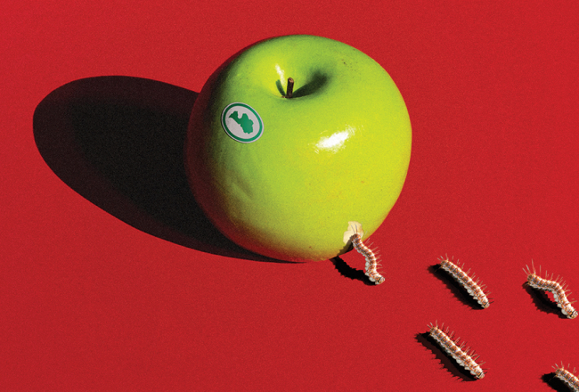 Ilustrācija — Krišs Salmanis