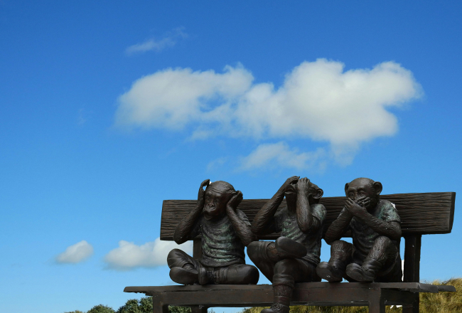 Ilustratīvs attēls. Pexels